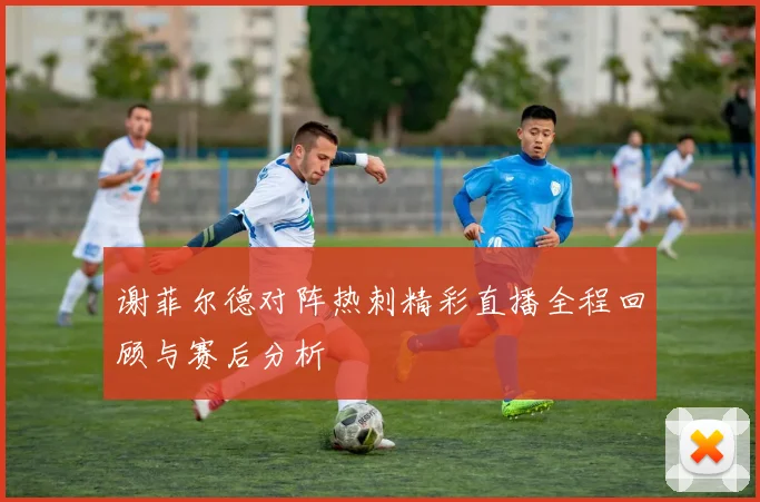 谢菲尔德对阵热刺精彩直播全程回顾与赛后分析