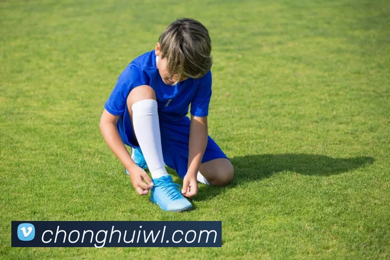 3377体育平台生态图